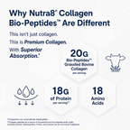 Nutra8 | Bio-Peptide Collagen