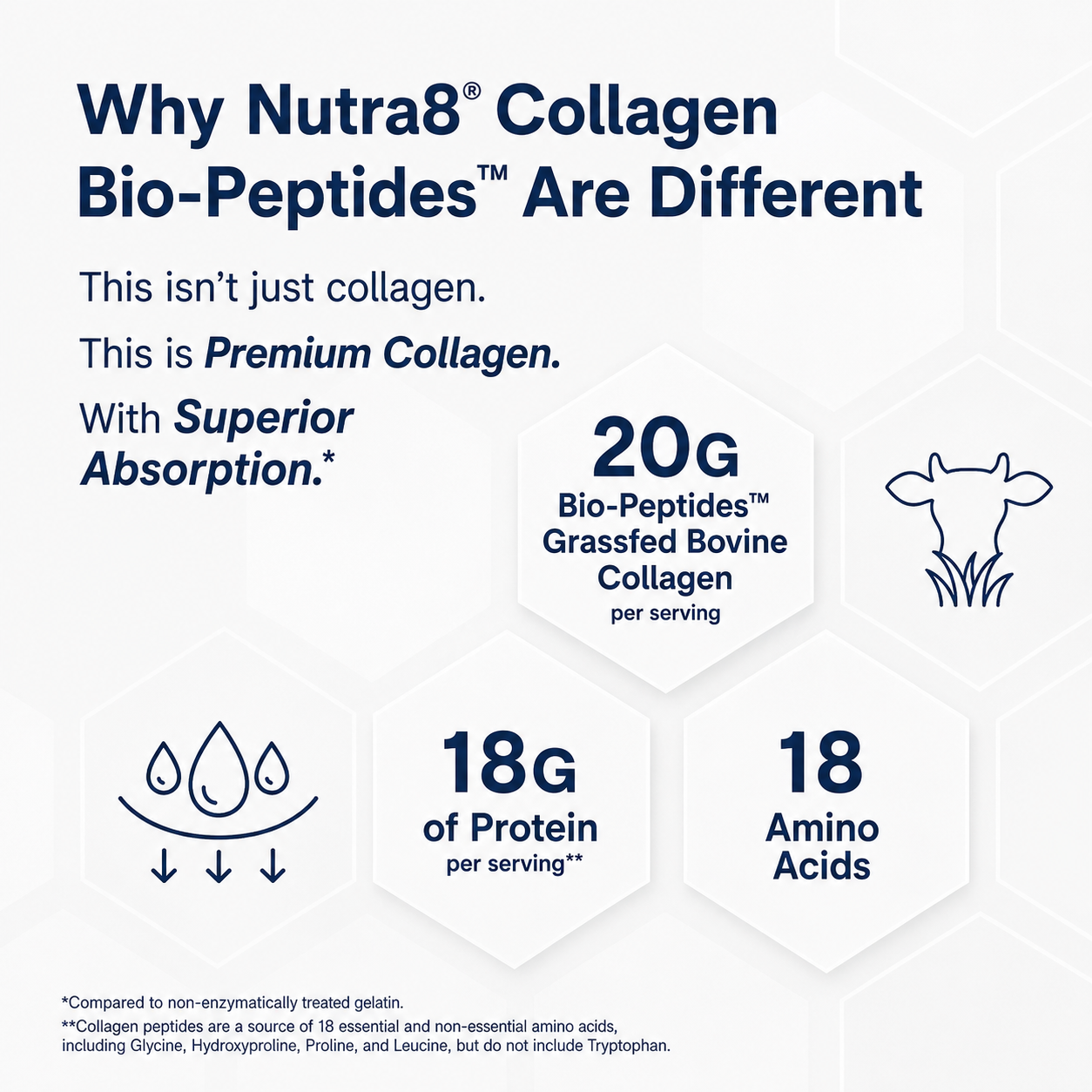 Nutra8 | Bio-Peptide Collagen